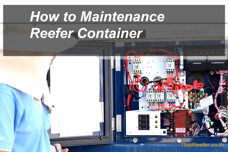 How To Maintenance Reefer Container : ThaiReefer Group