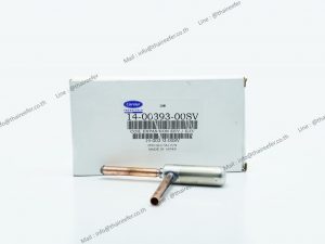 Coil Expansion EEV-EXV 14-00393-00SV