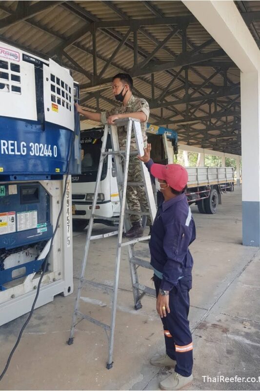 reefer container with genset for rent