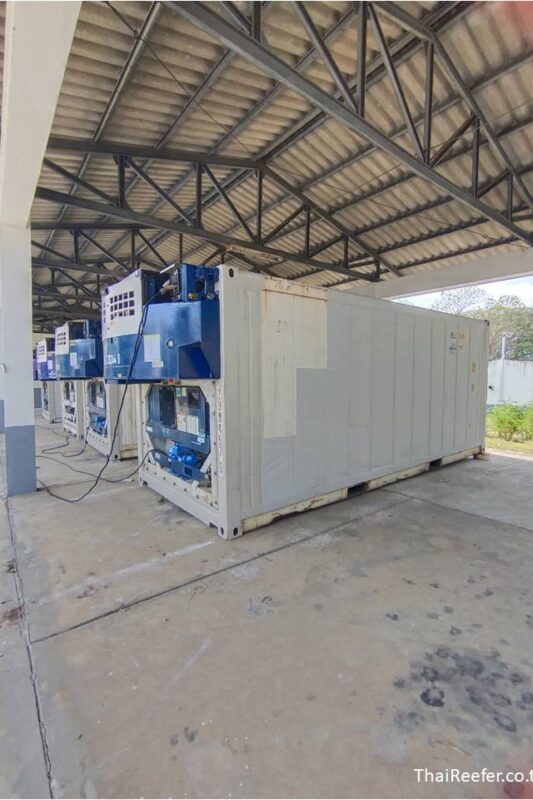 reefer container with genset for rent